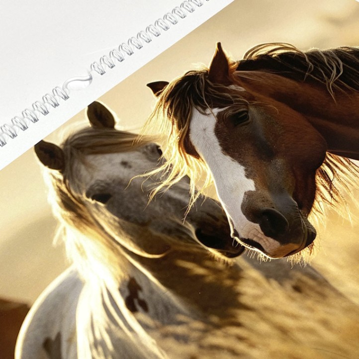 Nástenný fotokalendár Frame z vlastných fotiek, A4 na šírku