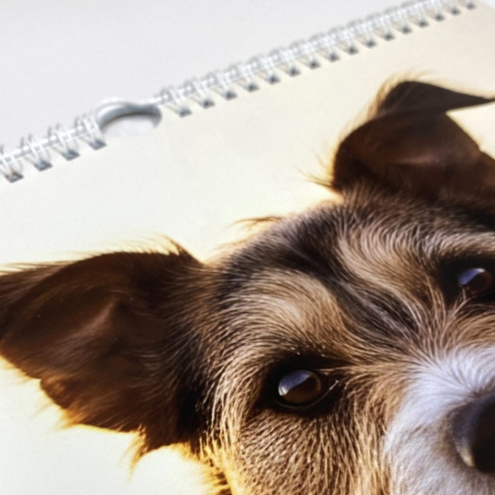 Nástenný fotokalendár Trendy z vlastných fotiek, A4 na výšku